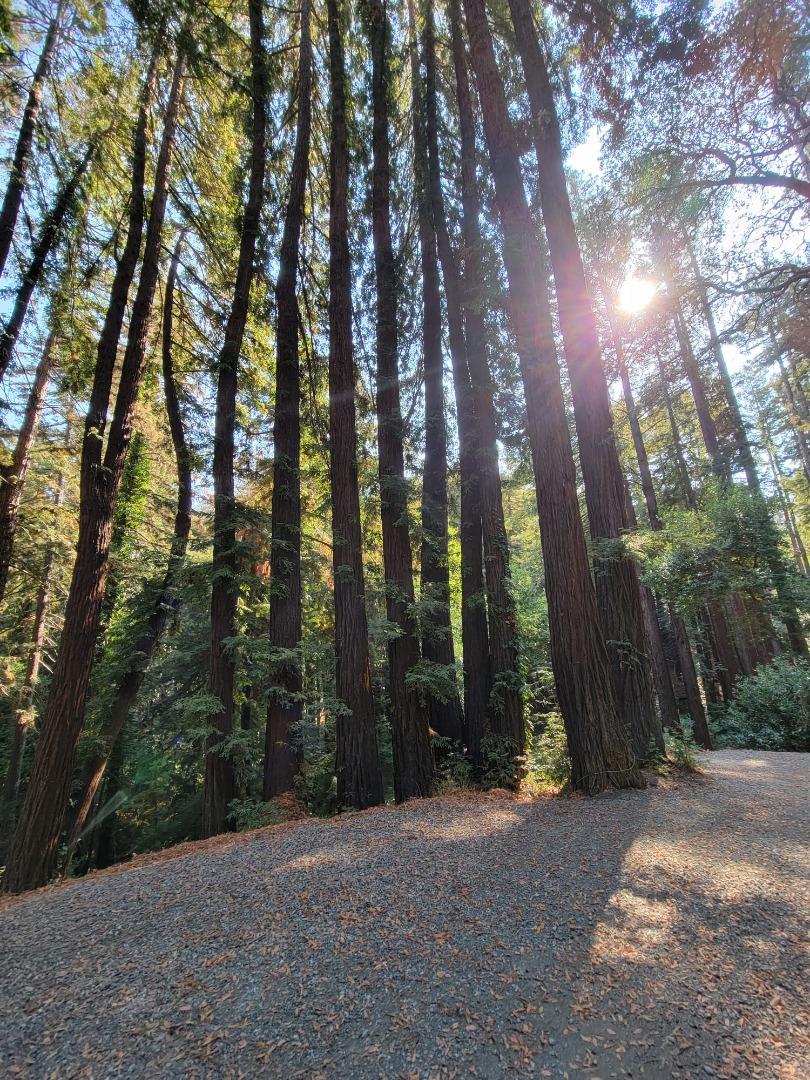 446 Old La Honda, WOODSIDE, California 94062, ,Lots And Land,For Sale,Old La Honda,40971197