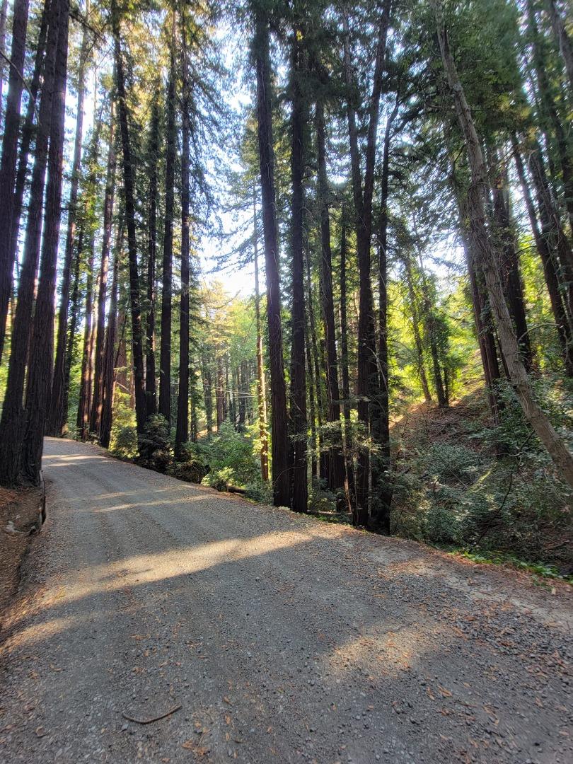 446 Old La Honda, WOODSIDE, California 94062, ,Lots And Land,For Sale,Old La Honda,40971197