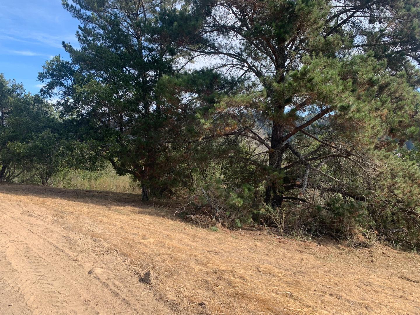 00 Rodeo Gulch, SOQUEL, California 95073, ,Lots And Land,For Sale,Rodeo Gulch,40971230