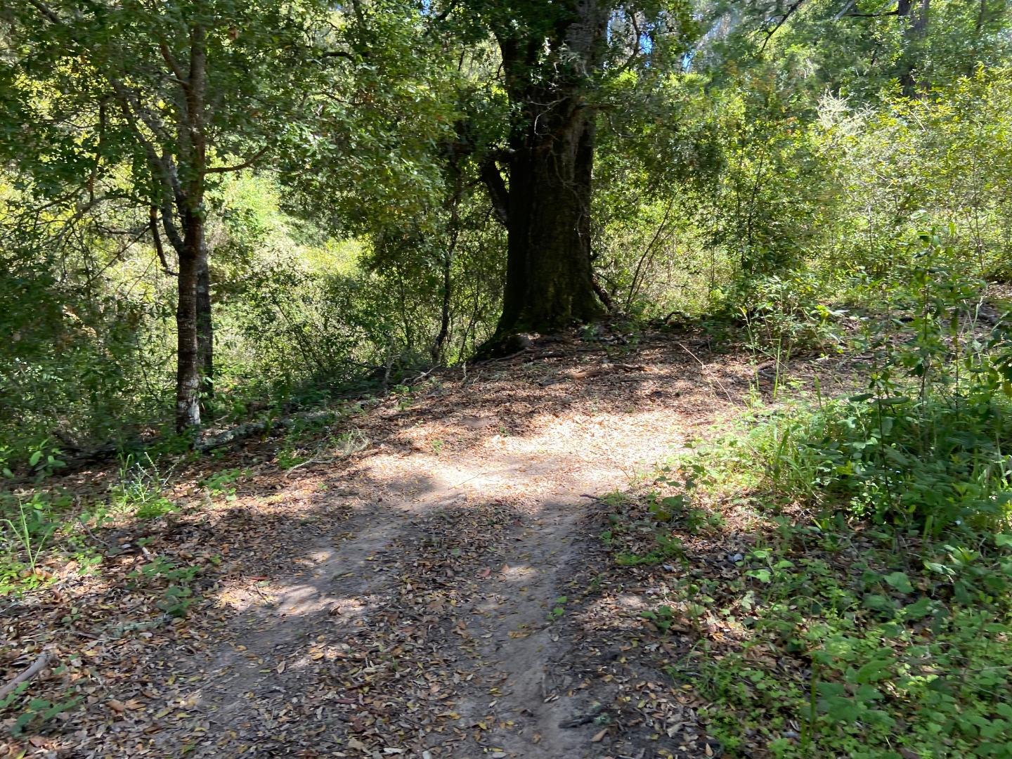 0 Farr Avenue, APTOS, California 95003, ,Lots And Land,For Sale,Farr Avenue,40971240