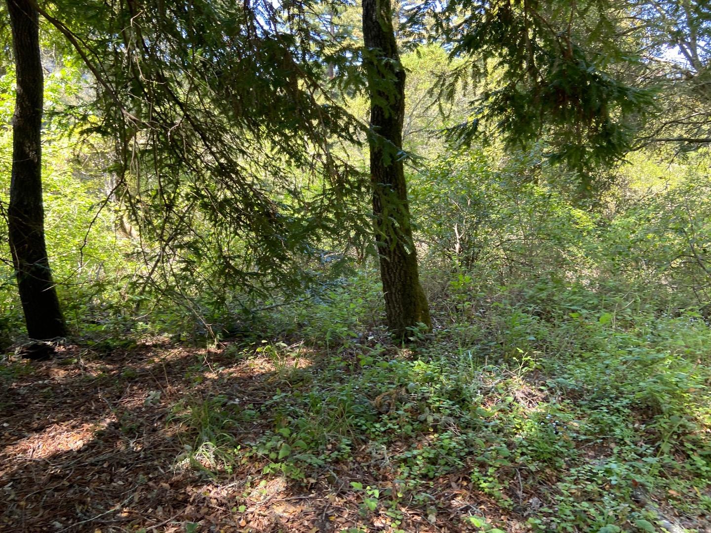 0 Farr Avenue, APTOS, California 95003, ,Lots And Land,For Sale,Farr Avenue,40971240