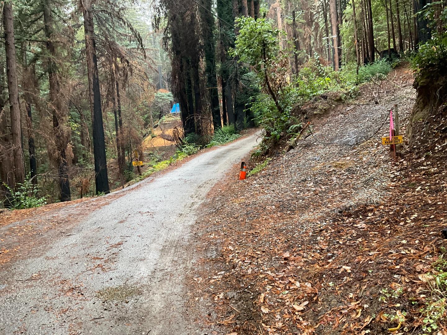 495 Band Road, BOULDER CREEK, California 95006, ,Lots And Land,For Sale,Band Road,40971378