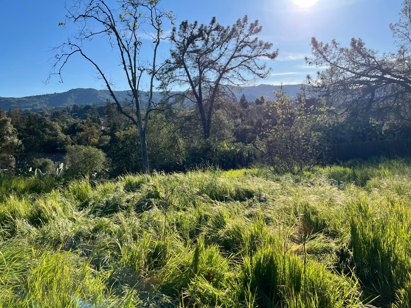 01 Plateau Avenue, LOS ALTOS, California 94024, ,Lots And Land,For Sale,Plateau Avenue,40971386