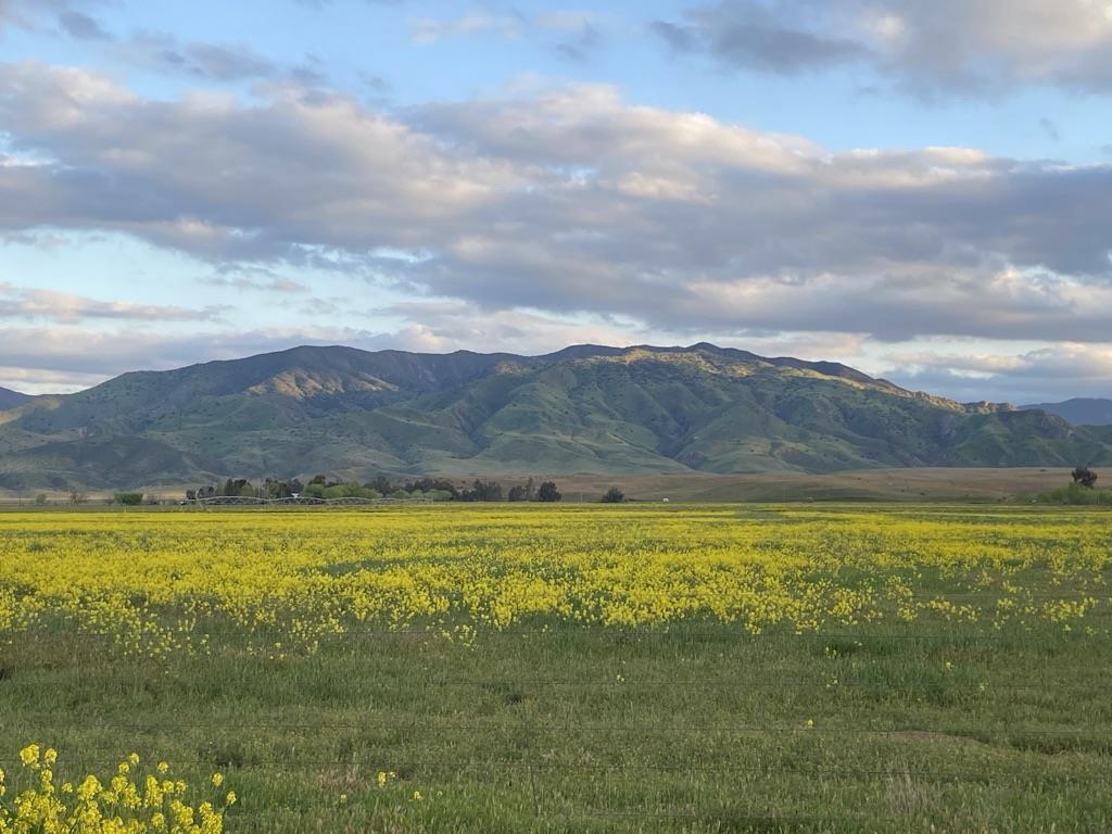 0 Panoche Road Pcl 1 Road, PAICINES, California 95043, ,Lots And Land,For Sale,Panoche Road Pcl 1 Road,40973685