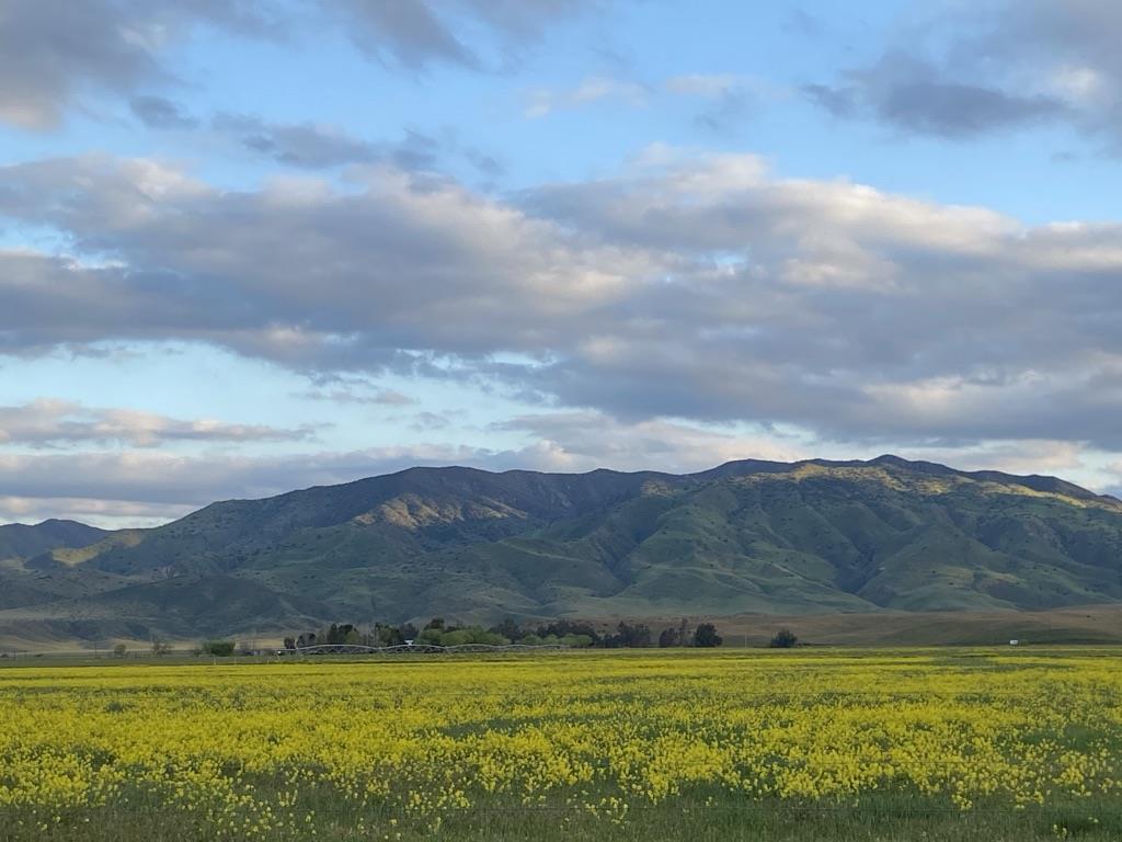0 Panoche Road Pcl 1 Road, PAICINES, California 95043, ,Lots And Land,For Sale,Panoche Road Pcl 1 Road,40973685