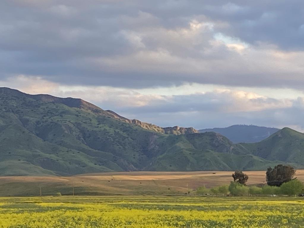 0 Panoche Road Pcl 1 Road, PAICINES, California 95043, ,Lots And Land,For Sale,Panoche Road Pcl 1 Road,40973685
