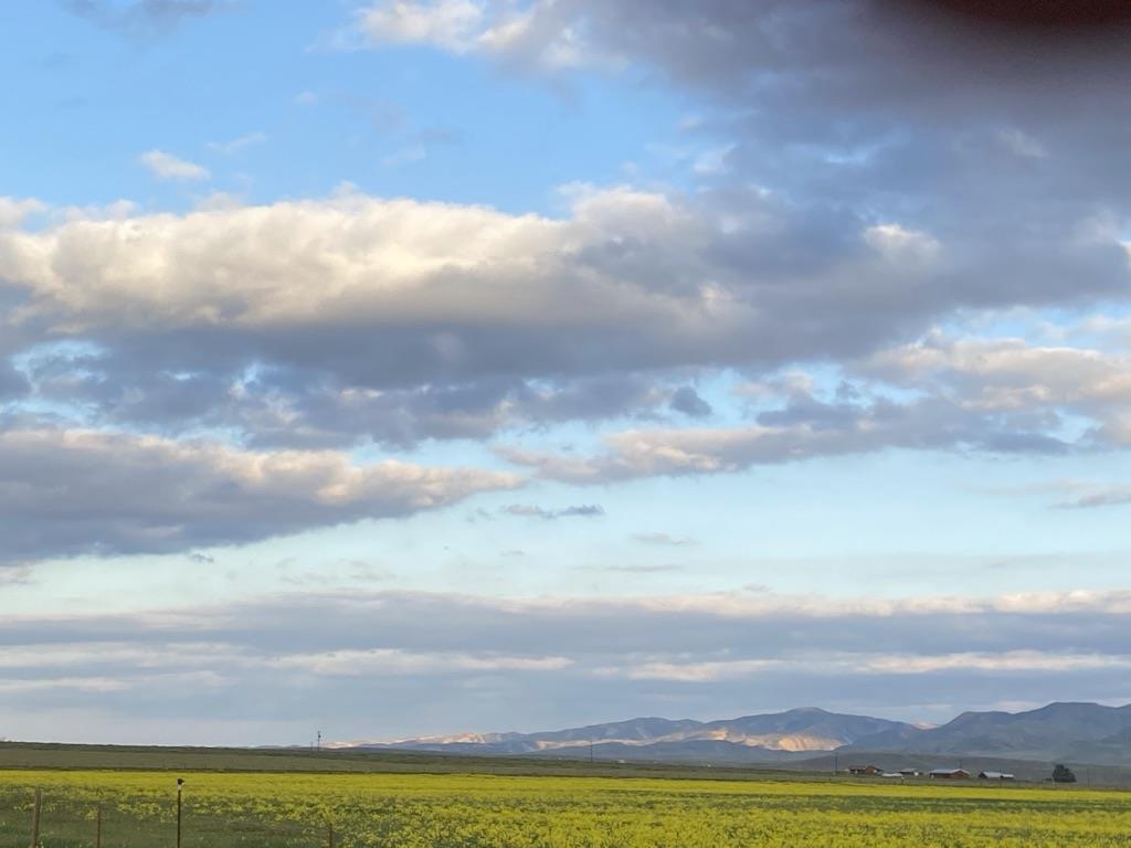 0 Panoche Road Pcl 1 Road, PAICINES, California 95043, ,Lots And Land,For Sale,Panoche Road Pcl 1 Road,40973685