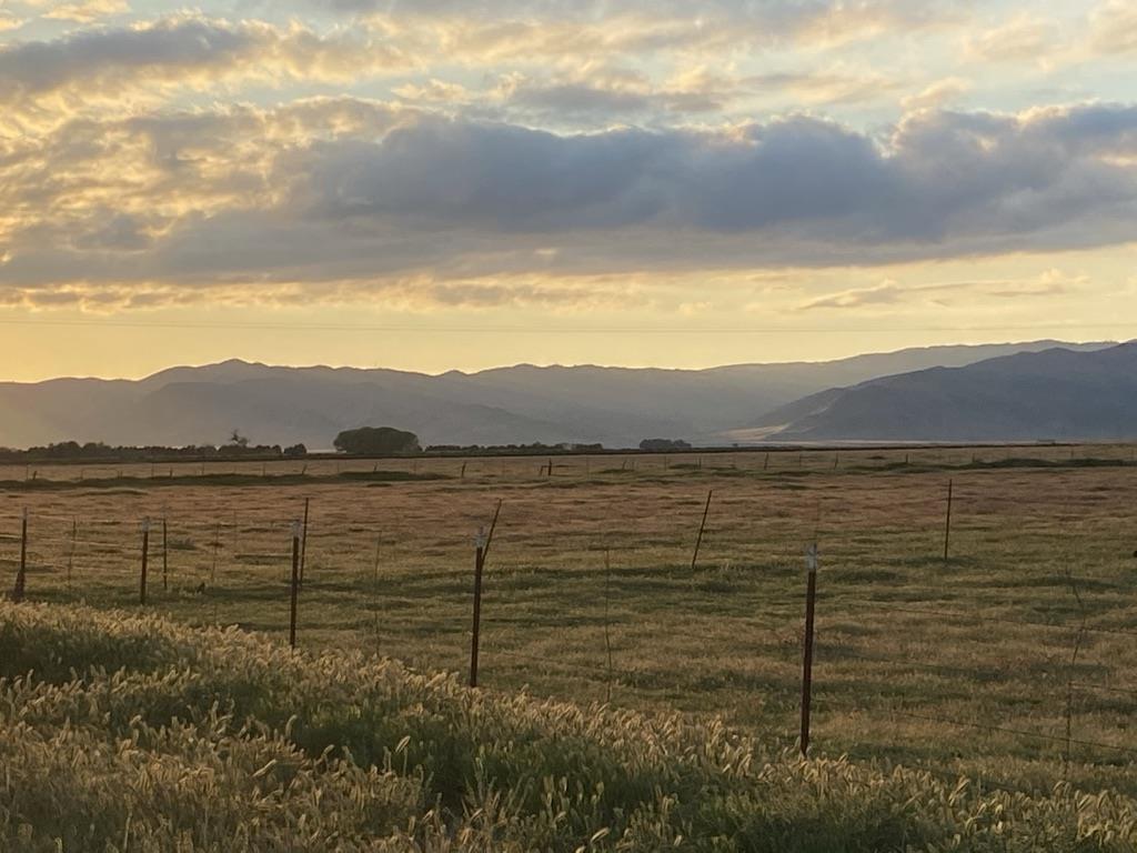 0 Panoche Road Pcl 1 Road, PAICINES, California 95043, ,Lots And Land,For Sale,Panoche Road Pcl 1 Road,40973685