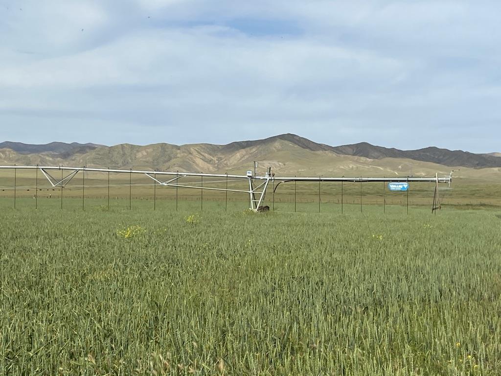 0 Panoche Road Pcl 1 Road, PAICINES, California 95043, ,Lots And Land,For Sale,Panoche Road Pcl 1 Road,40973685