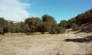 000 Pine Canyon, KING CITY, California 93930, ,Lots And Land,For Sale,Pine Canyon,40971388