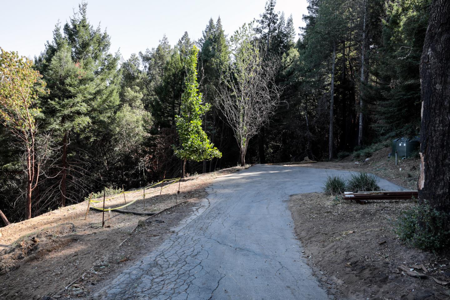 1090 Stanford Way, BEN LOMOND, California 95005, ,Lots And Land,For Sale,Stanford Way,40971606