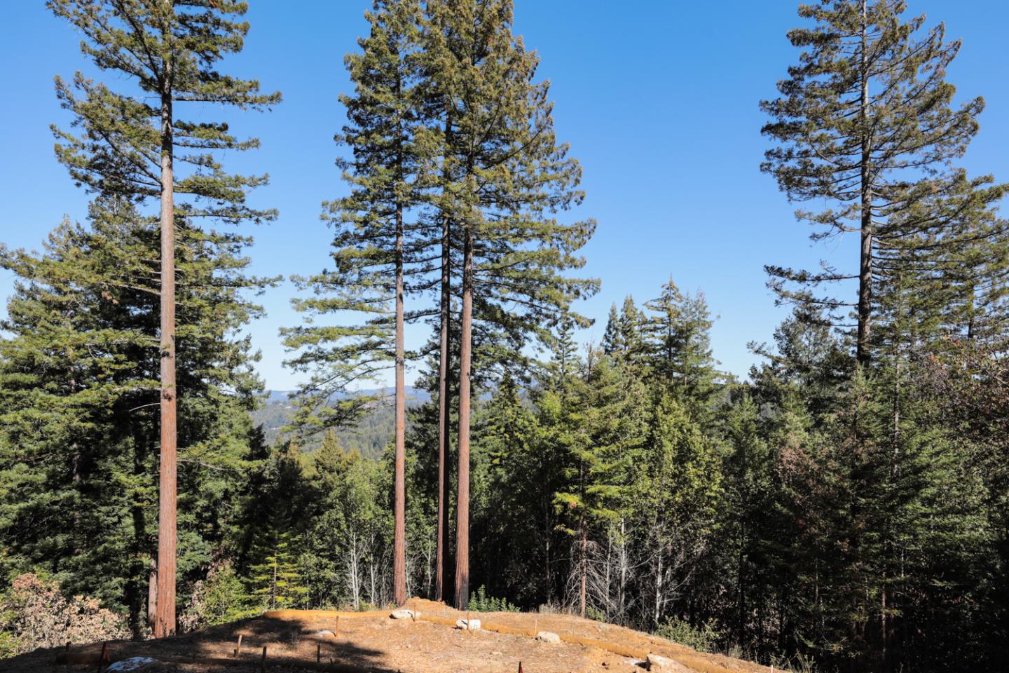1090 Stanford Way, BEN LOMOND, California 95005, ,Lots And Land,For Sale,Stanford Way,40971606