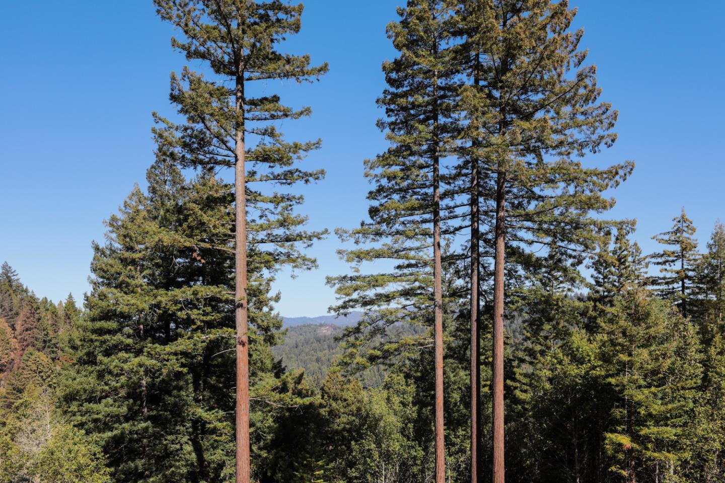 1090 Stanford Way, BEN LOMOND, California 95005, ,Lots And Land,For Sale,Stanford Way,40971606
