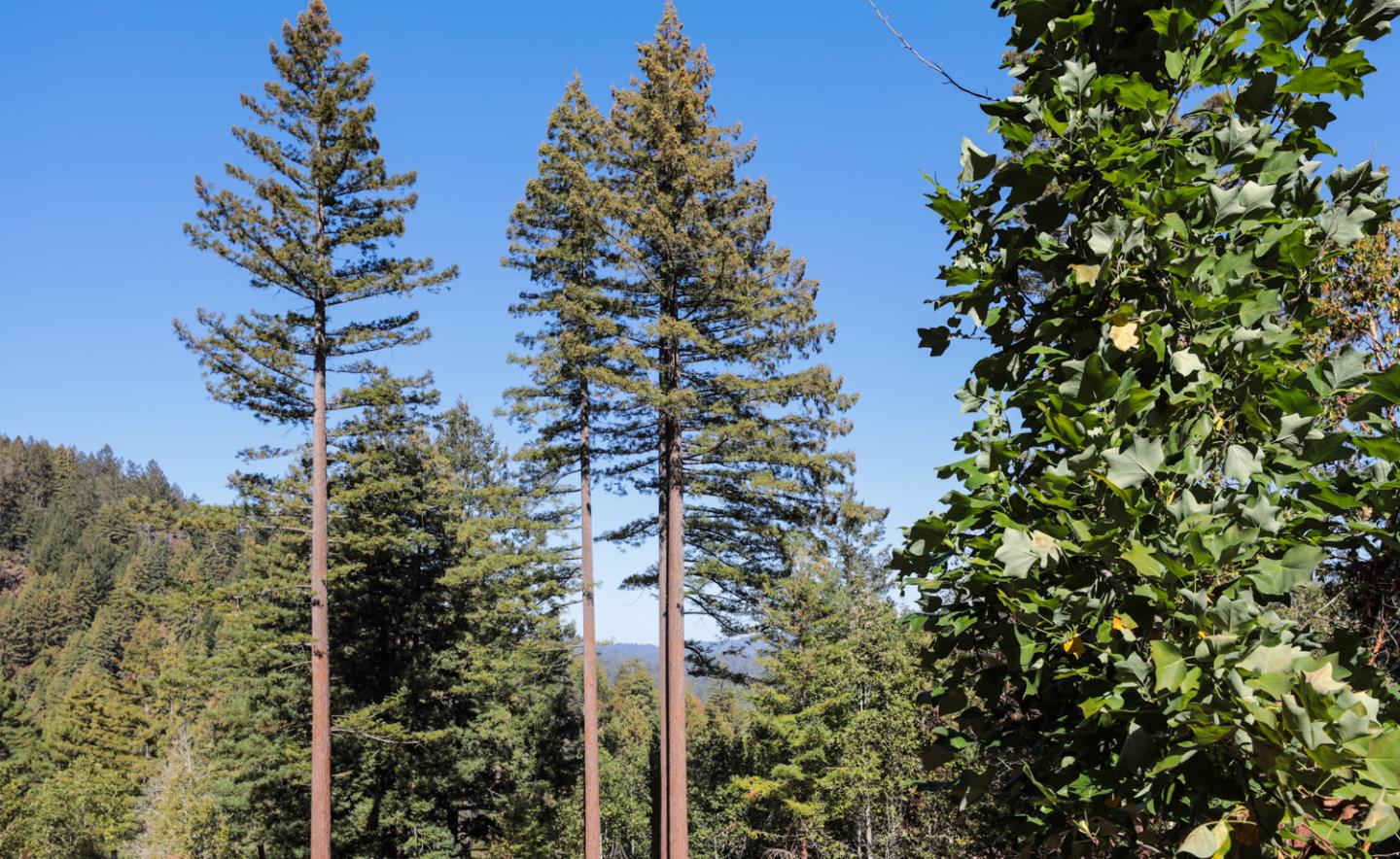 1090 Stanford Way, BEN LOMOND, California 95005, ,Lots And Land,For Sale,Stanford Way,40971606