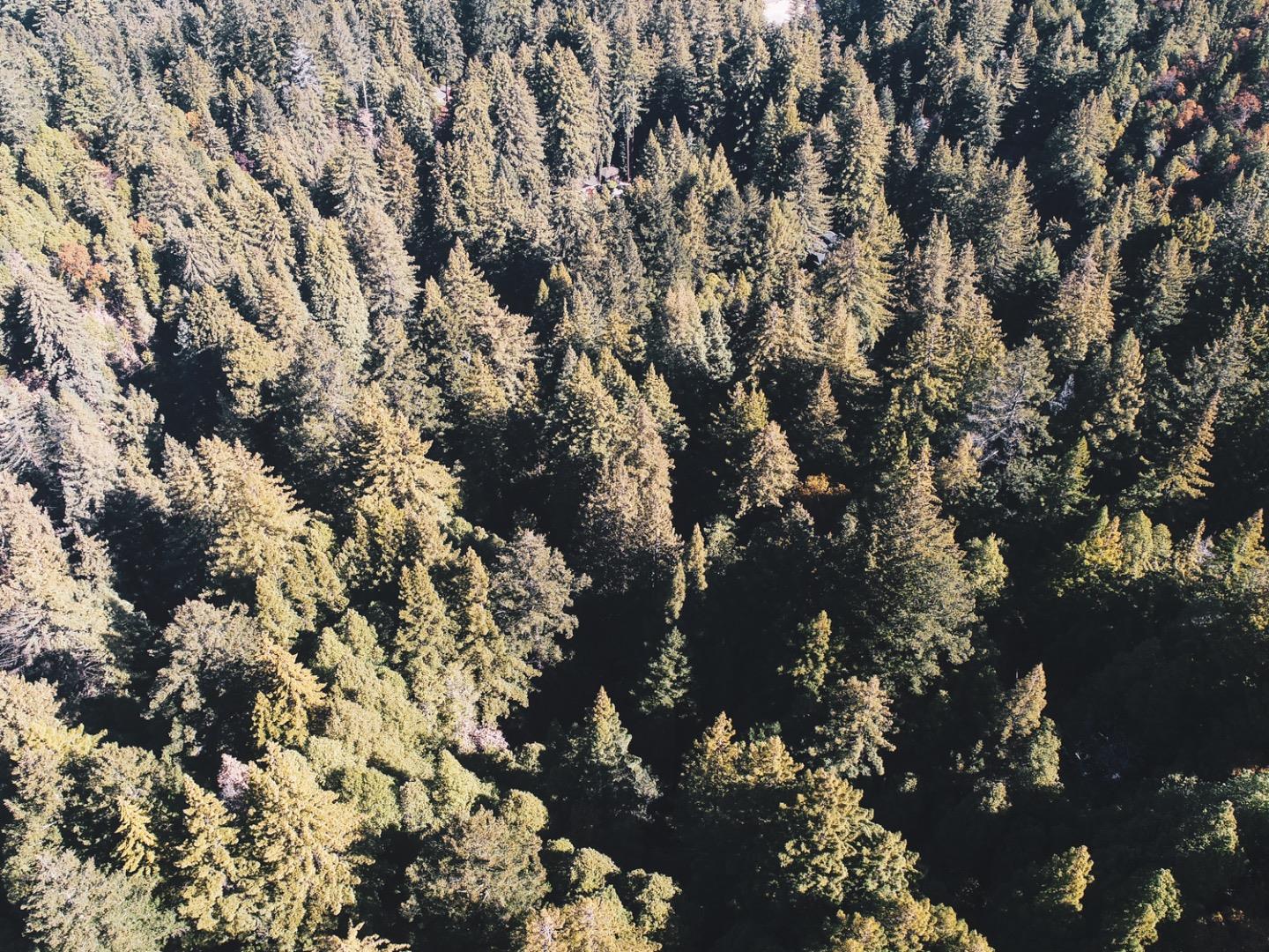 1090 Stanford Way, BEN LOMOND, California 95005, ,Lots And Land,For Sale,Stanford Way,40971606