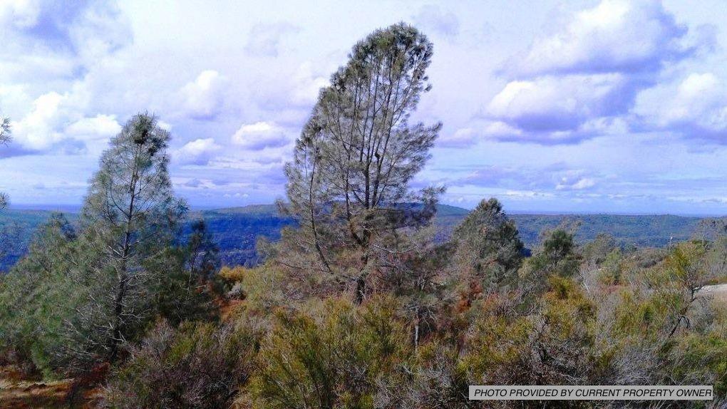 0 Chartwell, COARSEGOLD, California 93614, ,Lots And Land,For Sale,Chartwell,40971607