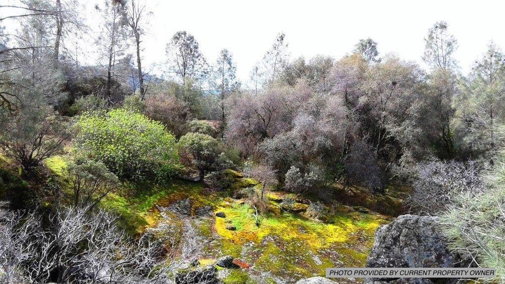 0 Chartwell, COARSEGOLD, California 93614, ,Lots And Land,For Sale,Chartwell,40971607