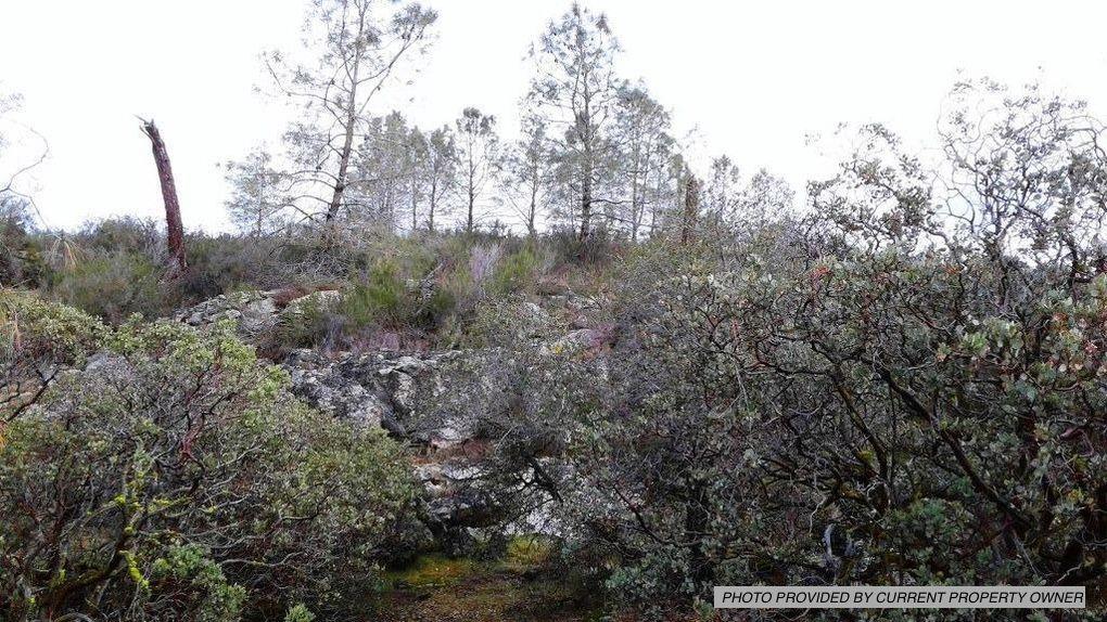 0 Chartwell, COARSEGOLD, California 93614, ,Lots And Land,For Sale,Chartwell,40971607