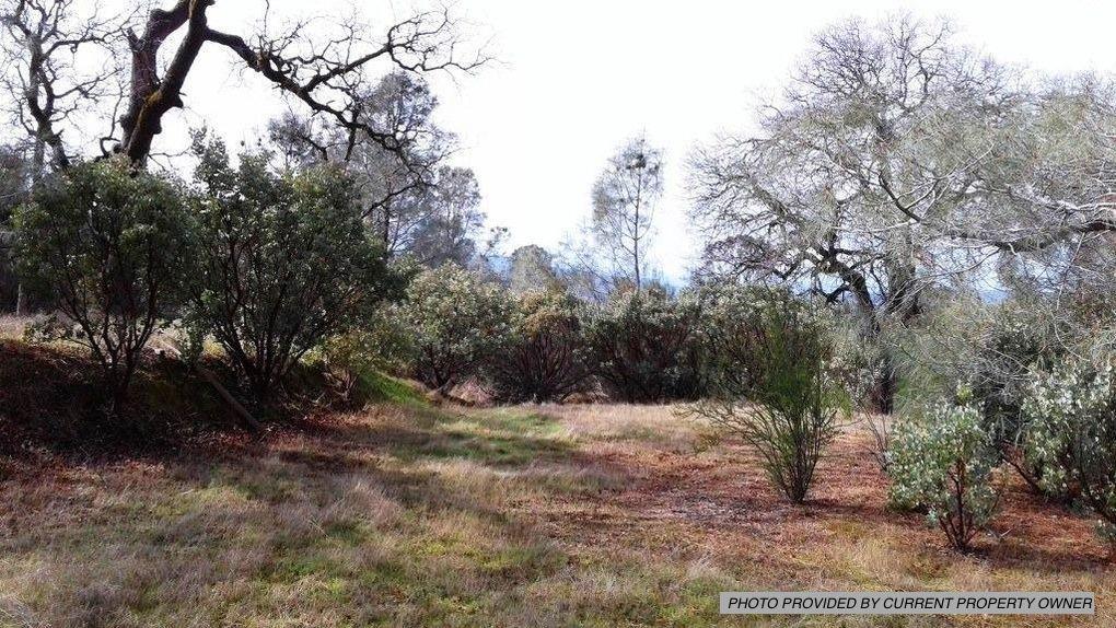 0 Chartwell, COARSEGOLD, California 93614, ,Lots And Land,For Sale,Chartwell,40971607