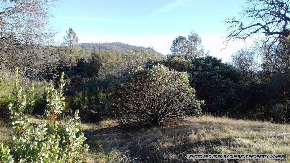 0 Chartwell, COARSEGOLD, California 93614, ,Lots And Land,For Sale,Chartwell,40971607