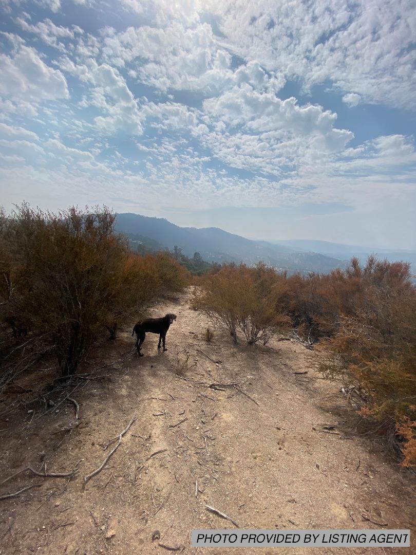 0 Chartwell, COARSEGOLD, California 93614, ,Lots And Land,For Sale,Chartwell,40971607