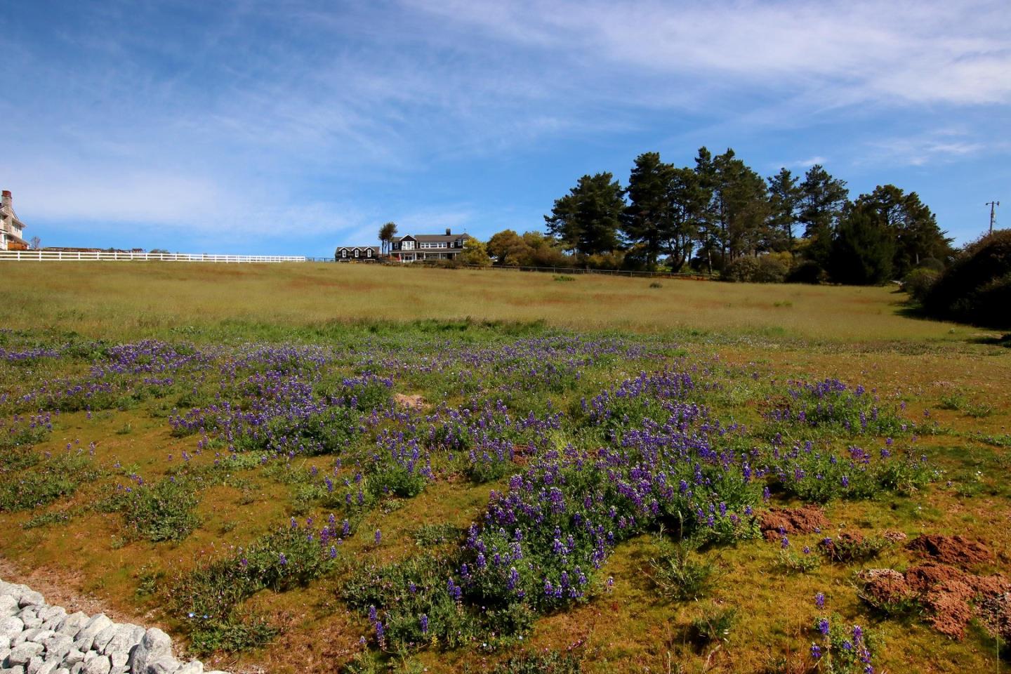 610 Sea View Terrace, WATSONVILLE, California 95076, ,Lots And Land,For Sale,Sea View Terrace,40971608