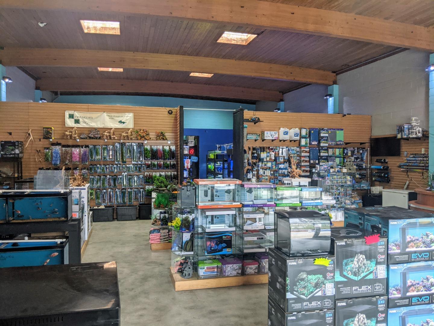 828 Lighthouse Avenue, MONTEREY, California 93940, ,Comm Industrial For Sale,For Sale,Lighthouse Avenue,40971610