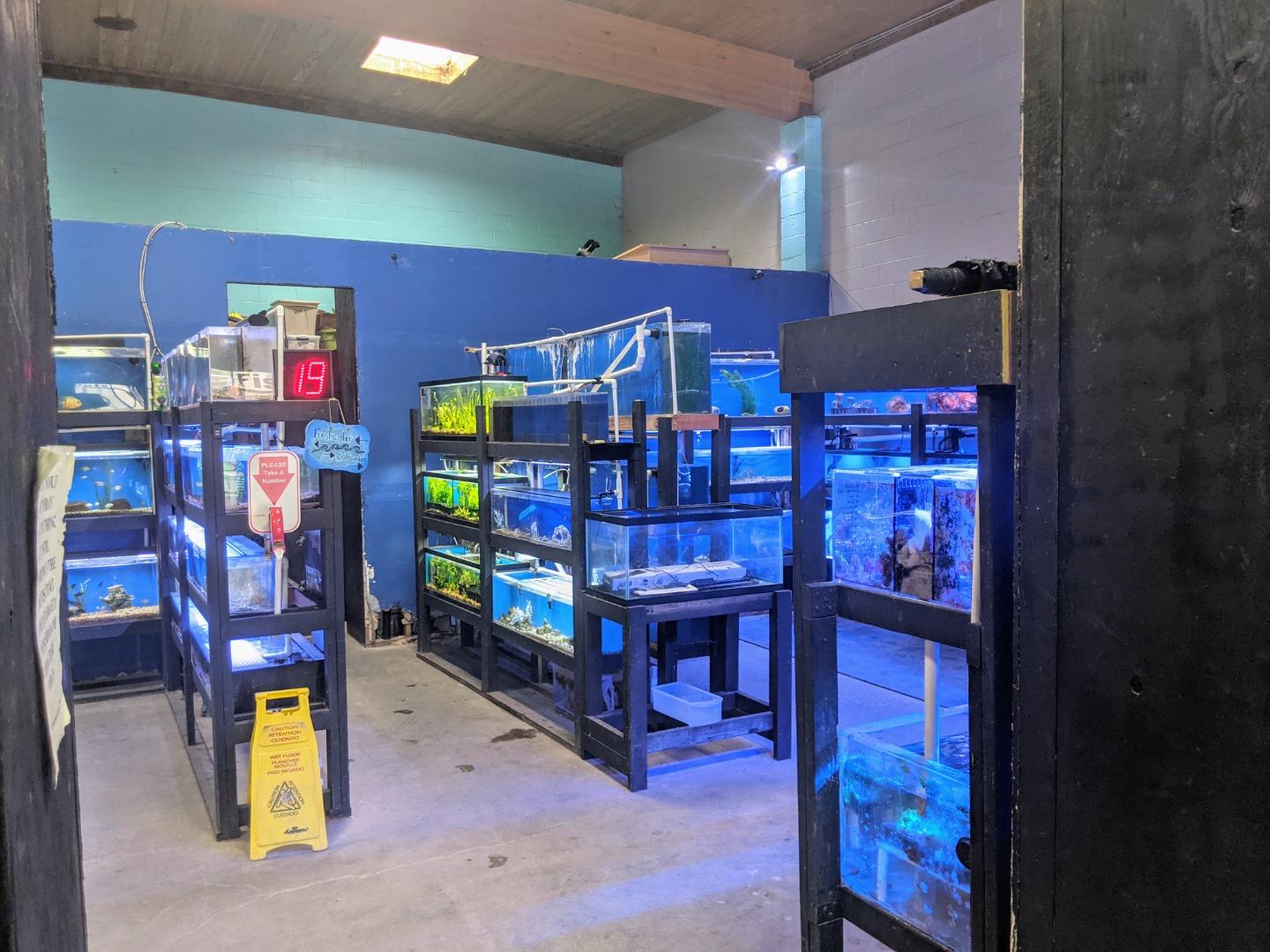 828 Lighthouse Avenue, MONTEREY, California 93940, ,Comm Industrial For Sale,For Sale,Lighthouse Avenue,40971610