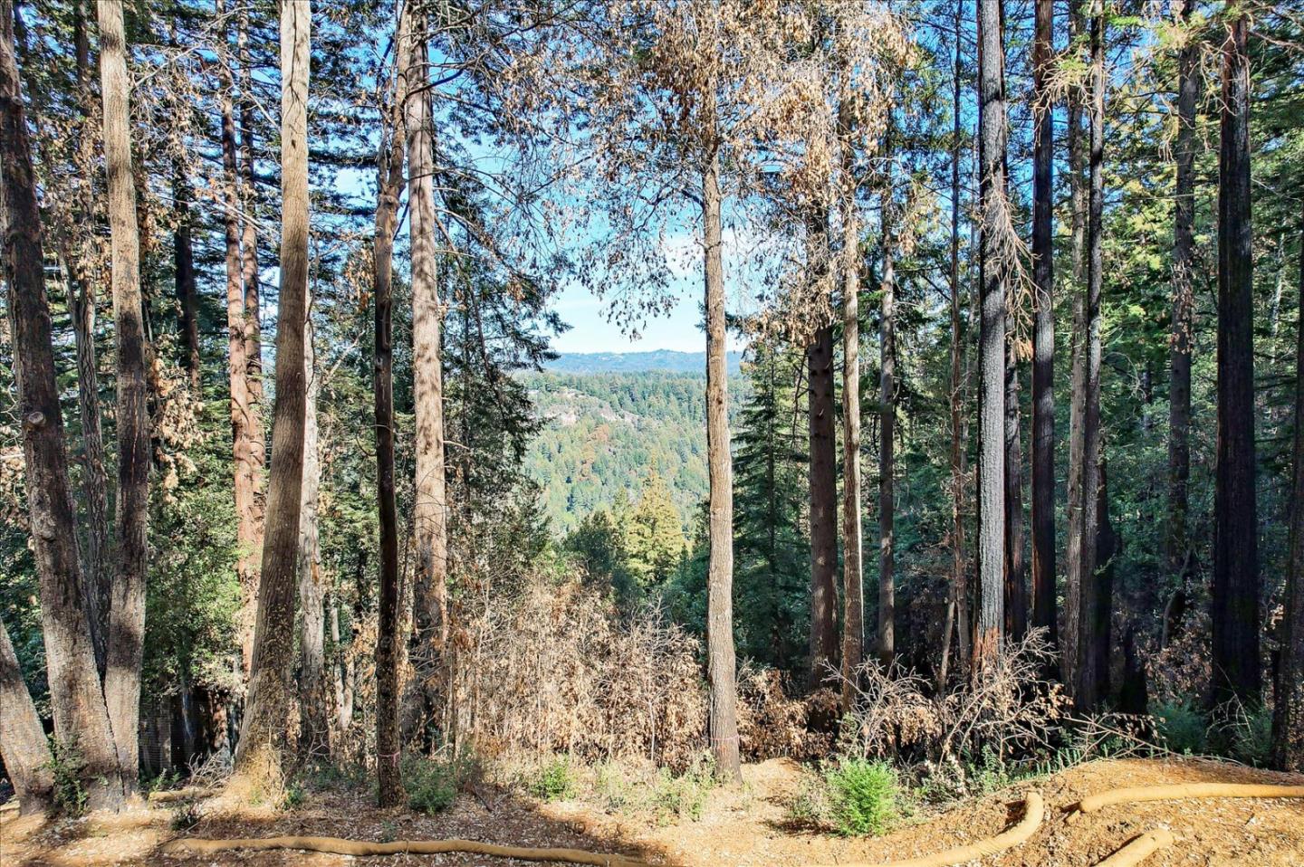 Detail Gallery Image 2 of 11 For 300 Sweetwater Ln, Ben Lomond,  CA 95005 - – Beds | – Baths
