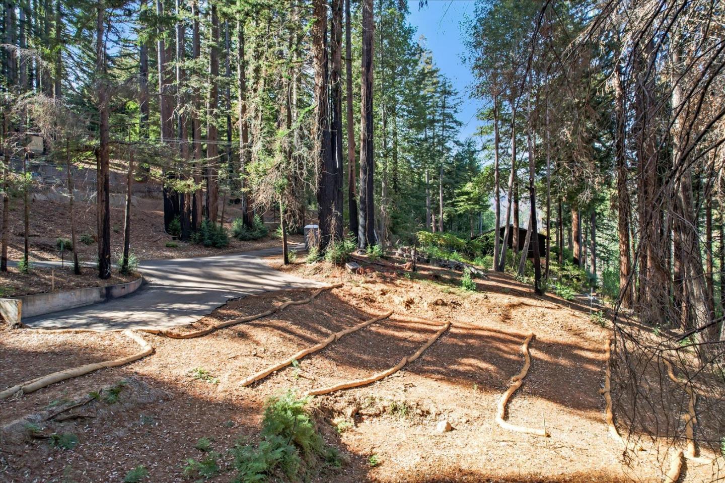 300 Sweetwater Lane, BEN LOMOND, California 95005, ,Lots And Land,For Sale,Sweetwater Lane,40971974