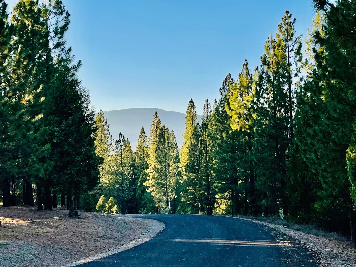 475 Red Sky, CLIO, California 96106, ,Lots And Land,For Sale,Red Sky,40971978