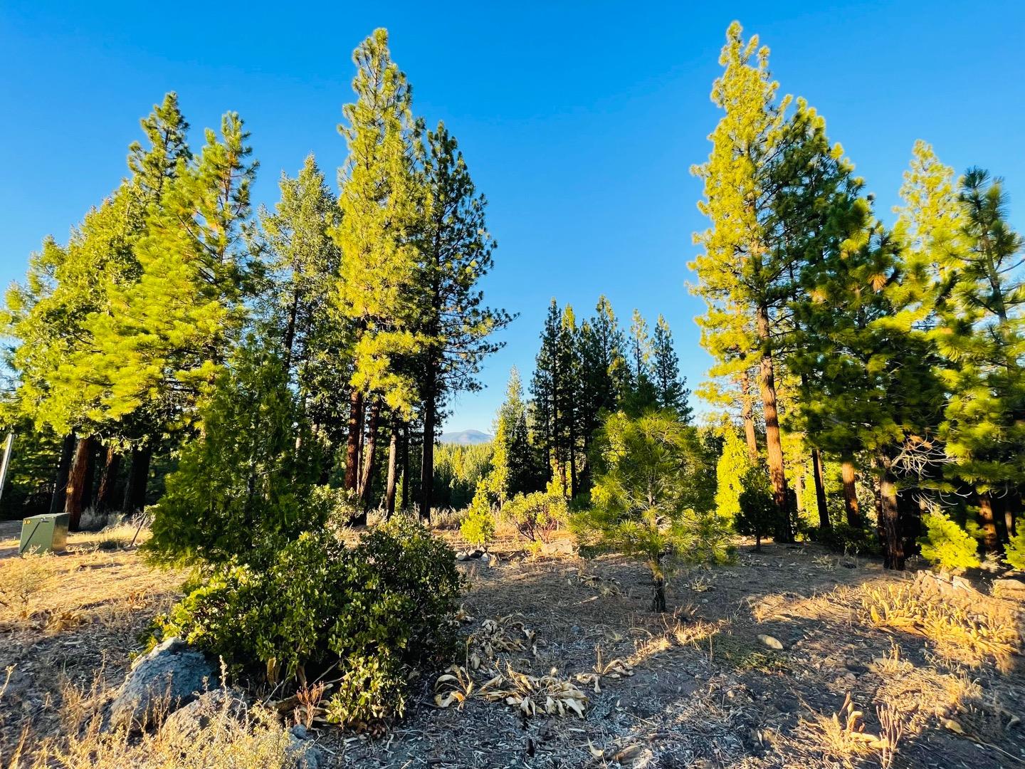 475 Red Sky, CLIO, California 96106, ,Lots And Land,For Sale,Red Sky,40971978