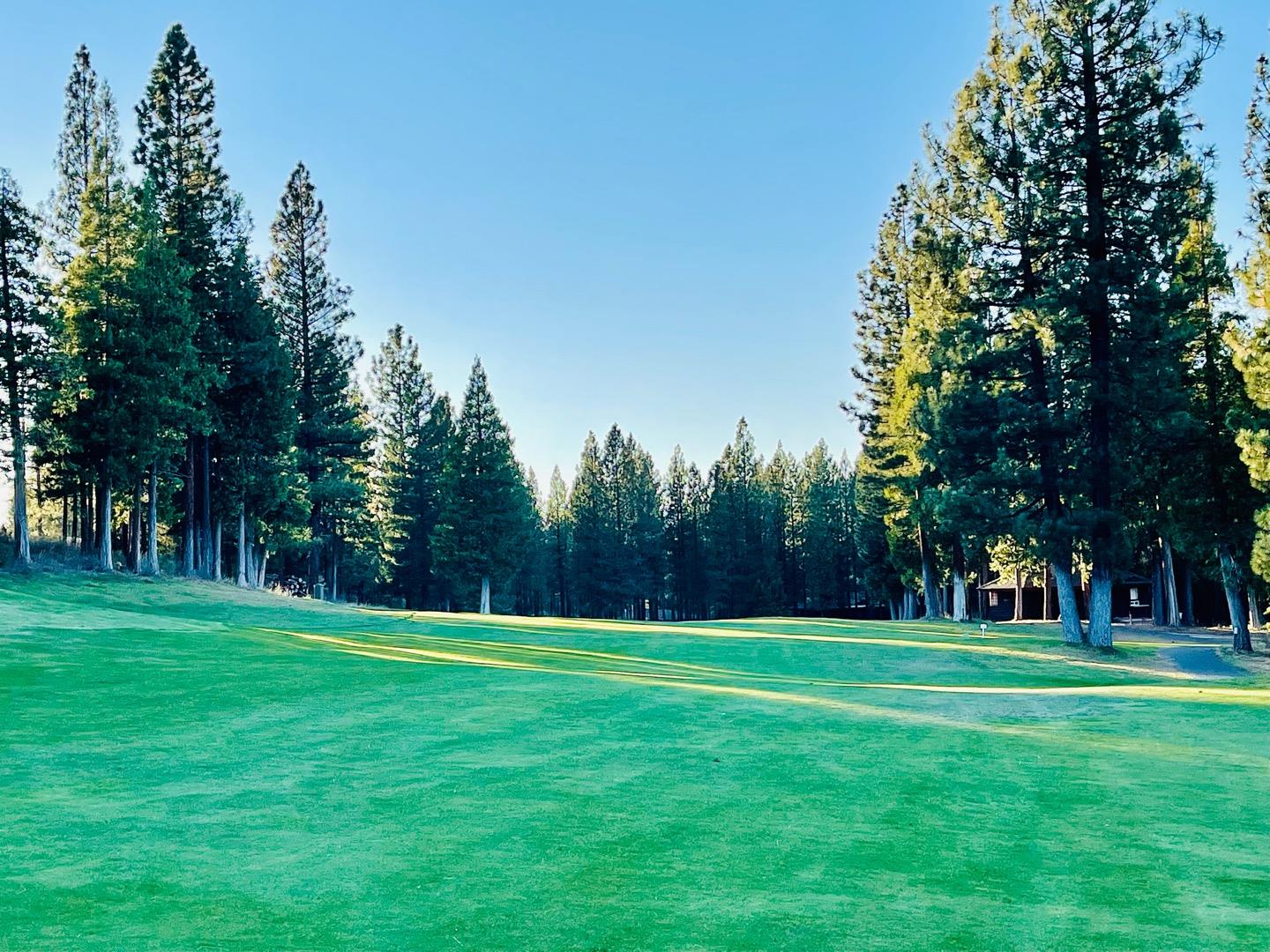 475 Red Sky, CLIO, California 96106, ,Lots And Land,For Sale,Red Sky,40971978
