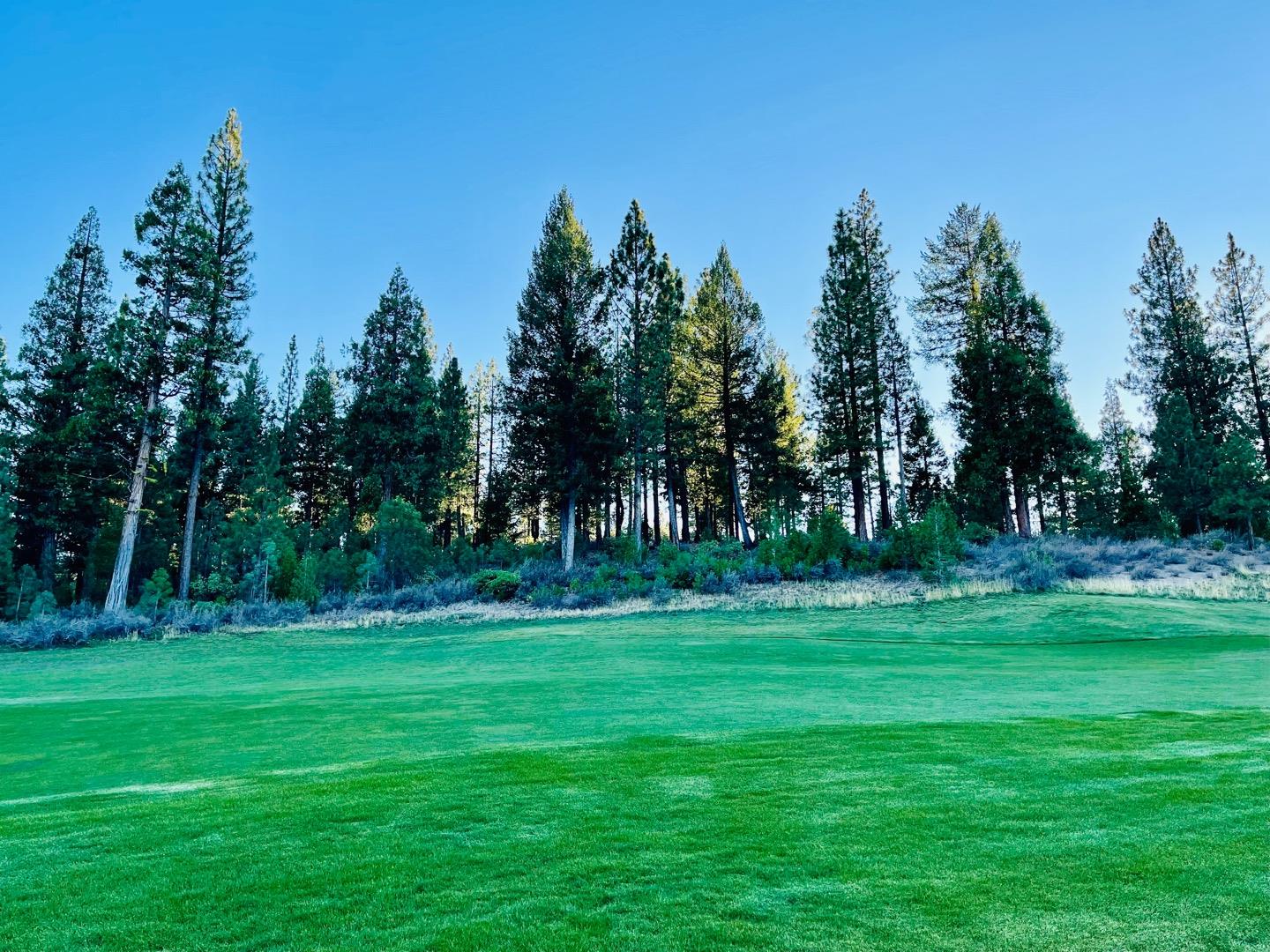 475 Red Sky, CLIO, California 96106, ,Lots And Land,For Sale,Red Sky,40971978