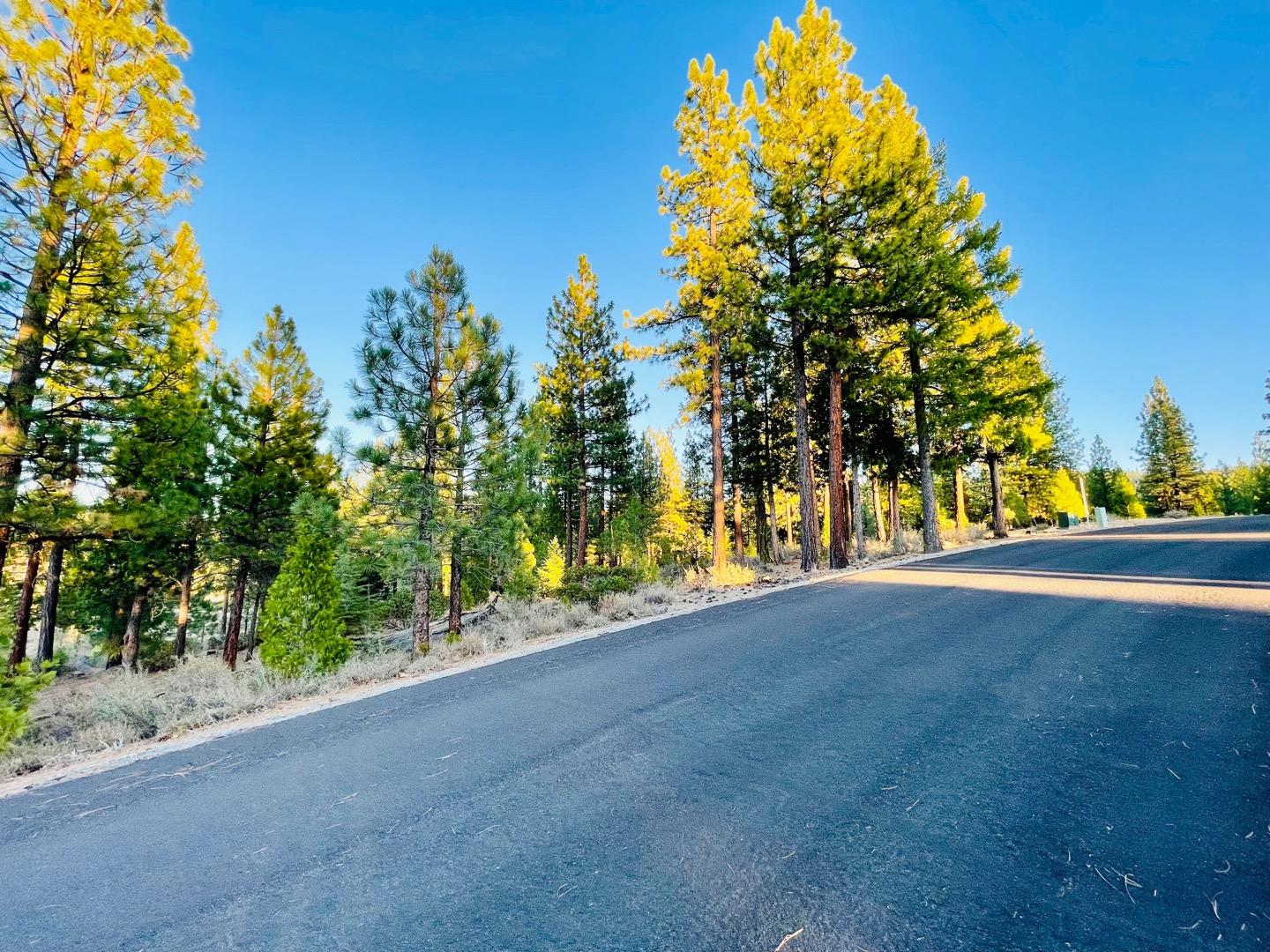 475 Red Sky, CLIO, California 96106, ,Lots And Land,For Sale,Red Sky,40971978