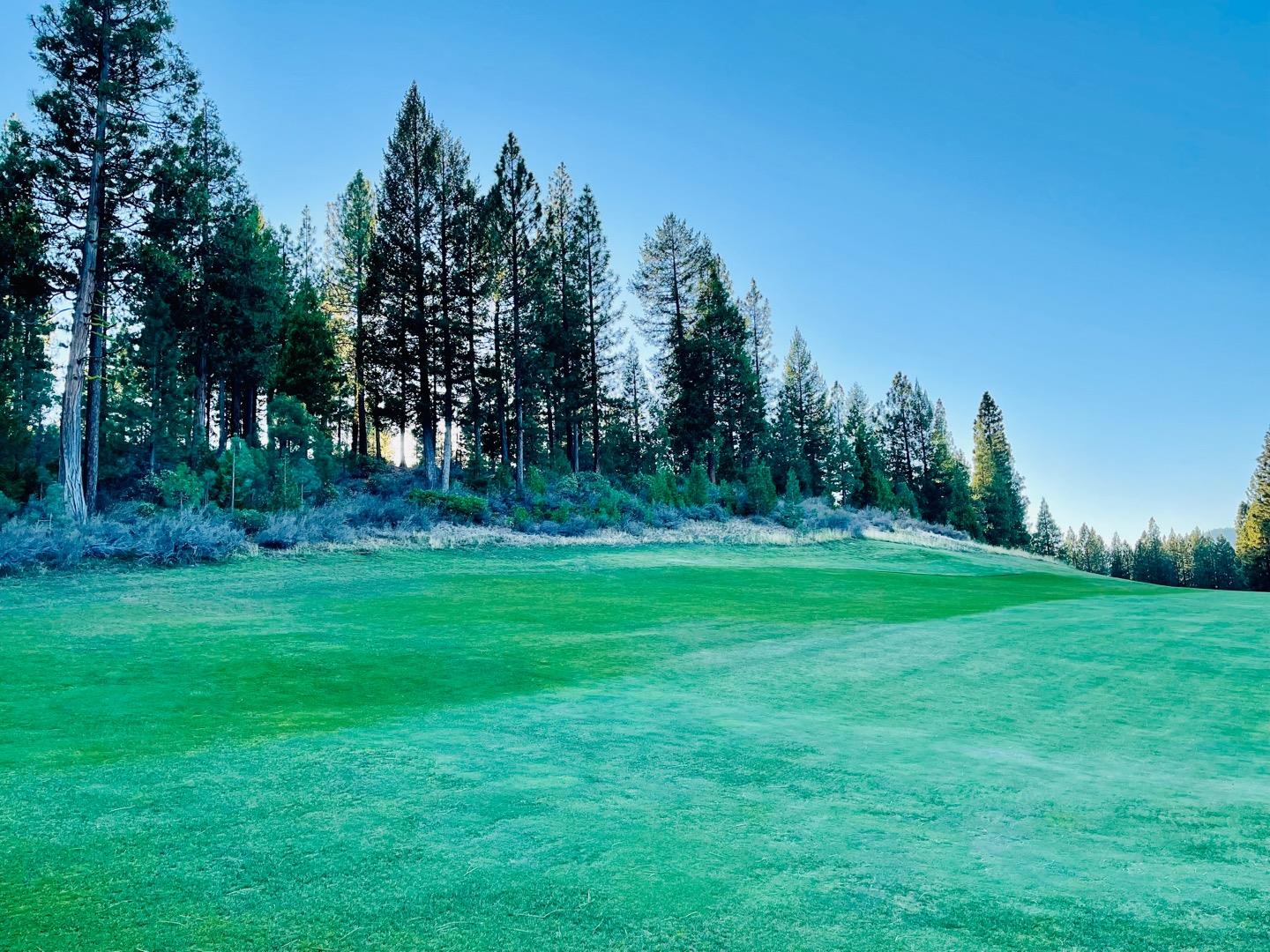 475 Red Sky, CLIO, California 96106, ,Lots And Land,For Sale,Red Sky,40971978