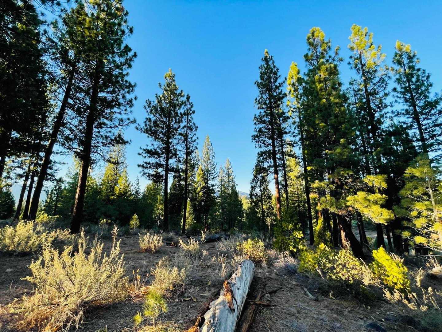 475 Red Sky, CLIO, California 96106, ,Lots And Land,For Sale,Red Sky,40971978