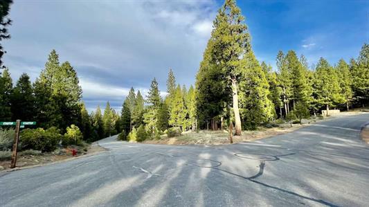1383 Dream Maker, PORTOLA, California 96122, ,Lots And Land,For Sale,Dream Maker,40971979