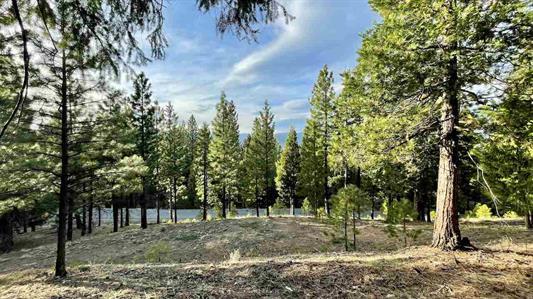 1383 Dream Maker, PORTOLA, California 96122, ,Lots And Land,For Sale,Dream Maker,40971979