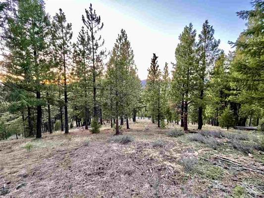 1383 Dream Maker, PORTOLA, California 96122, ,Lots And Land,For Sale,Dream Maker,40971979