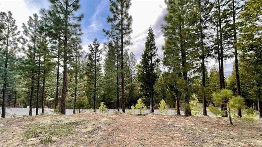 1383 Dream Maker, PORTOLA, California 96122, ,Lots And Land,For Sale,Dream Maker,40971979