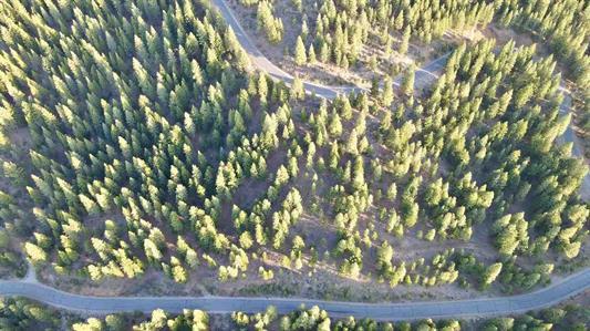 1383 Dream Maker, PORTOLA, California 96122, ,Lots And Land,For Sale,Dream Maker,40971979