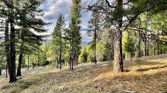 1383 Dream Maker, PORTOLA, California 96122, ,Lots And Land,For Sale,Dream Maker,40971979