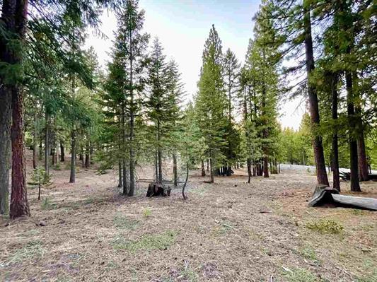 1383 Dream Maker, PORTOLA, California 96122, ,Lots And Land,For Sale,Dream Maker,40971979