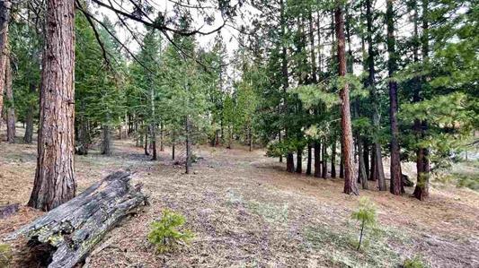 1383 Dream Maker, PORTOLA, California 96122, ,Lots And Land,For Sale,Dream Maker,40971979