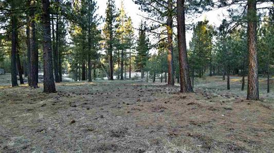 1383 Dream Maker, PORTOLA, California 96122, ,Lots And Land,For Sale,Dream Maker,40971979