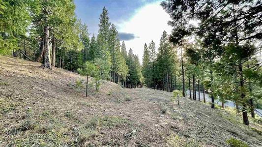 1383 Dream Maker, PORTOLA, California 96122, ,Lots And Land,For Sale,Dream Maker,40971979