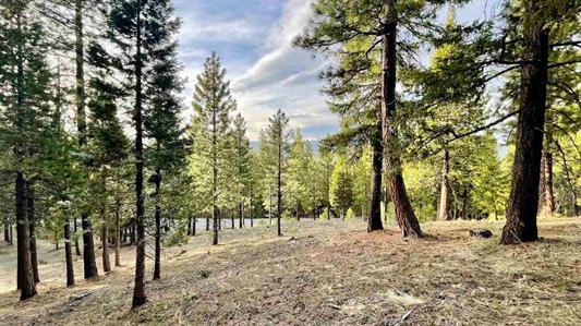 1383 Dream Maker, PORTOLA, California 96122, ,Lots And Land,For Sale,Dream Maker,40971979