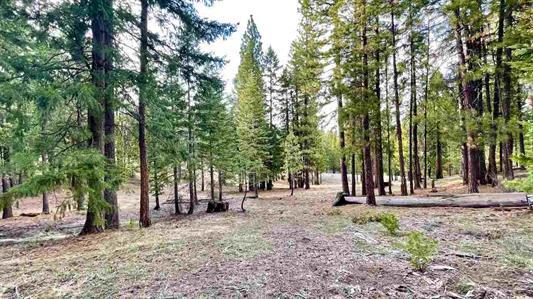 1383 Dream Maker, PORTOLA, California 96122, ,Lots And Land,For Sale,Dream Maker,40971979