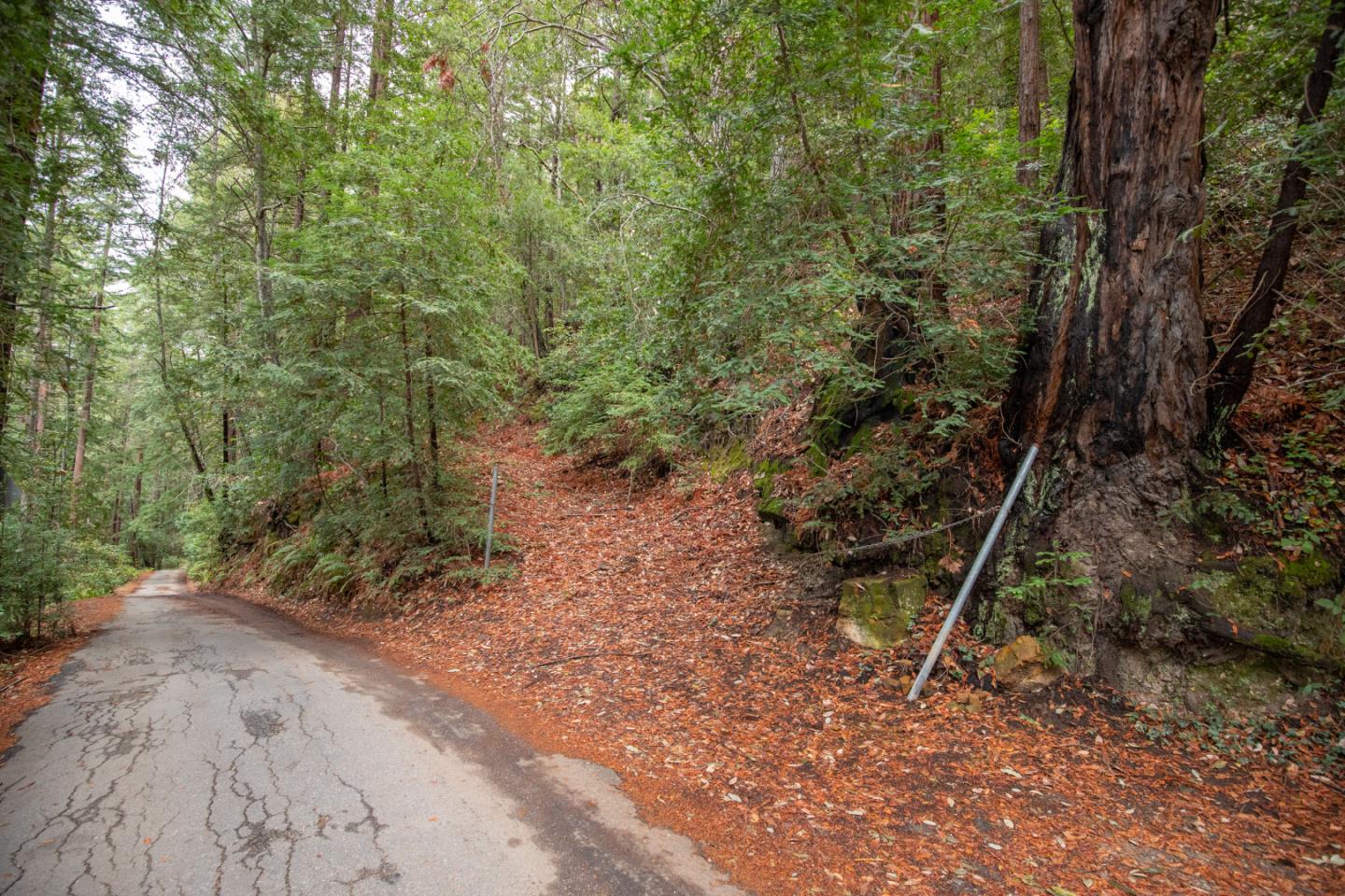 11507 Lakeview Avenue, FELTON, California 95018, ,Lots And Land,For Sale,Lakeview Avenue,40972220